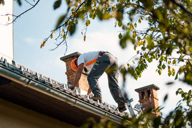 Quick and Trustworthy Emergency Roof Repair Services in Hutchins, TX
