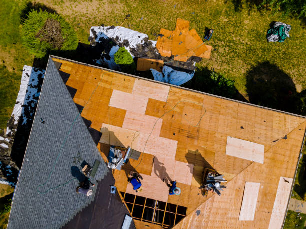 Best Metal Roofing Contractor  in Hutchins, TX