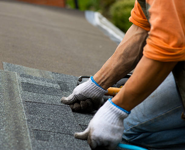 Roof Gutter Cleaning in Hutchins, TX